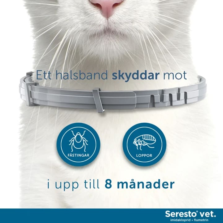 Seresto vet. halsband för katt och hund upp till 8 kg 1,25g+0,56g 1st Seresto
