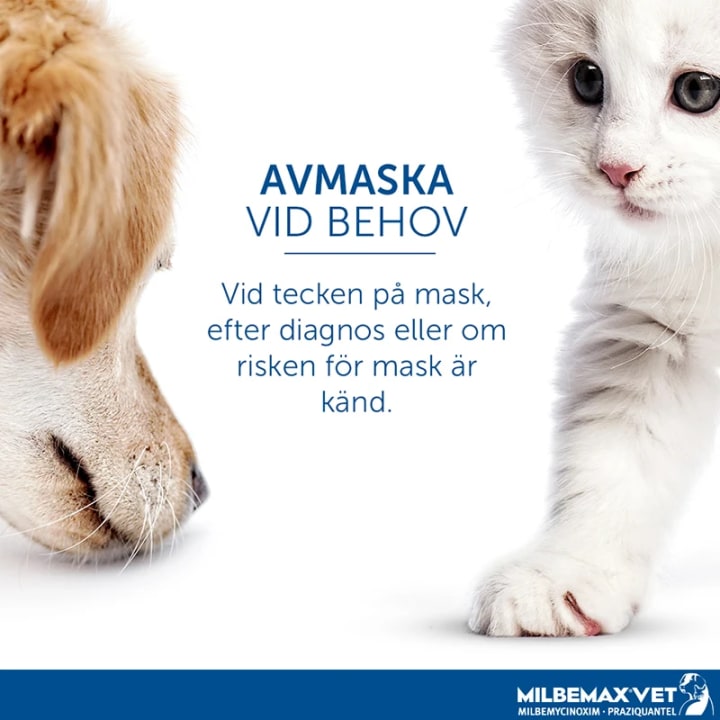 Milbemax vet. för katter tablett 4 st Milbemax