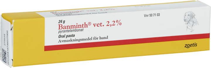 Banminth vet. oral pasta i tub för hund Banminth