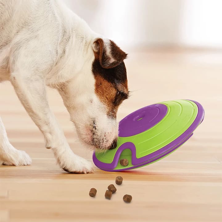 Nina Ottosson Dog Treat Maze Nina Ottoson
