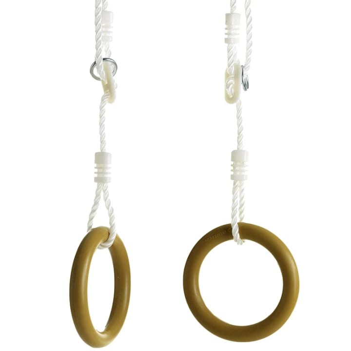 Abilica Gym Rings Abilica