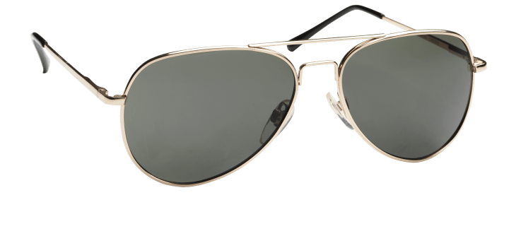 Haga Eyewear Solglasögon PG 6, 39065092 Haga Optik