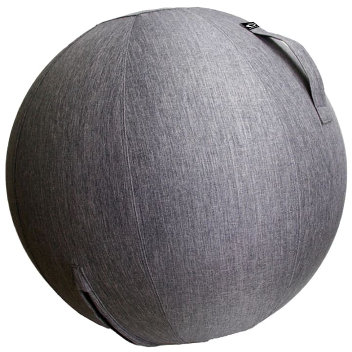 Abilica Fitness Ball Cover 65 cm Abilica
