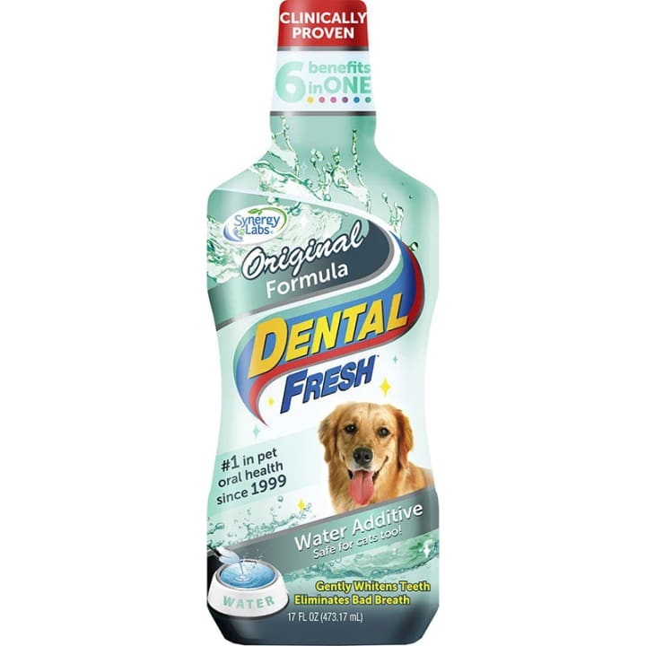 Synergy Labs Dental Fresh Dog 473 ml Synergy Labs