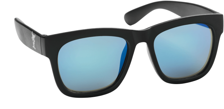 Haga Eyewear Bamse Barnsolglasögon Lilleskutt Svarta Haga Optik, Bamse