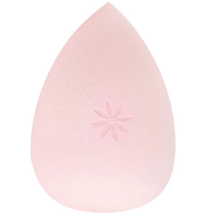 Brushworks Complexion Sponge Brushworks