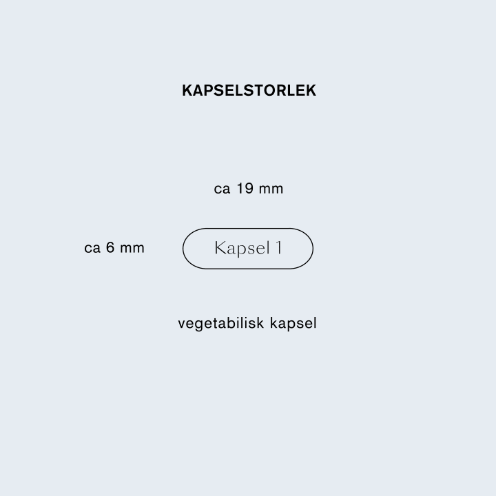 Holistic Zink 90 st Holistic