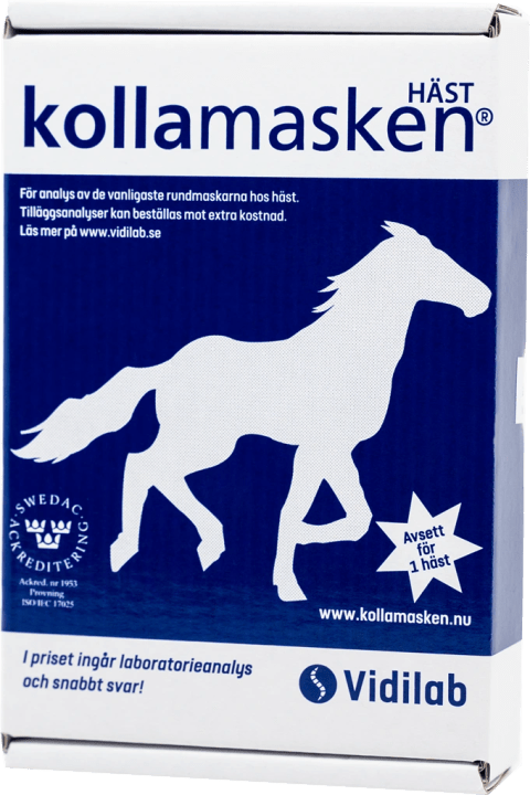 Kollamasken för häst Kollamasken