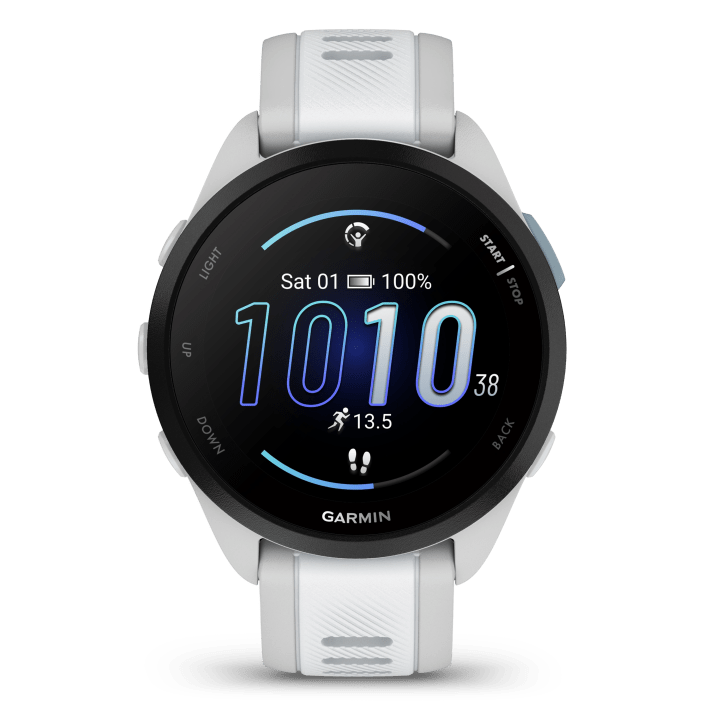 Garmin Forerunner 165 Music GPS, WiFi, Mist Grey/Whitestone Garmin