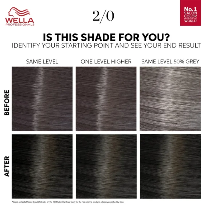 Wella Professionals Color Touch Pure Naturals 130 ml 2/0 Black Wella