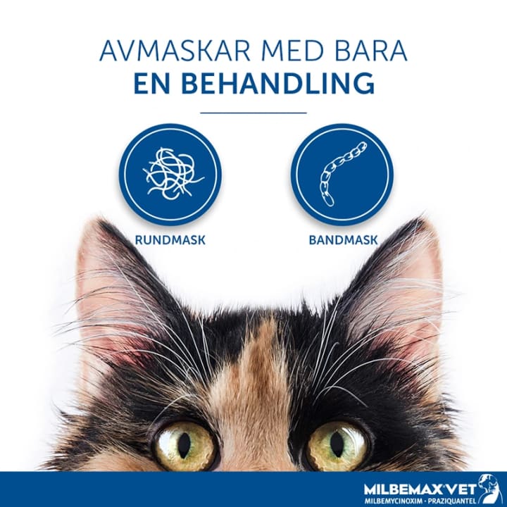 Milbemax vet. för katter tablett 2 st Milbemax