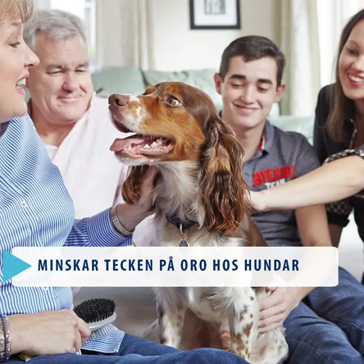 Adaptil Calm On-the-go Halsband M/L Adaptil