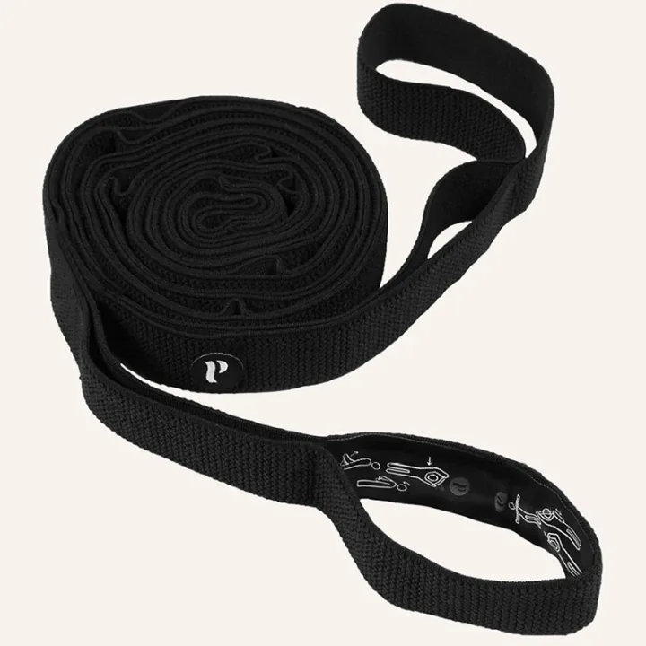 Swedish Posture Minigym Träningskit Swedish Posture