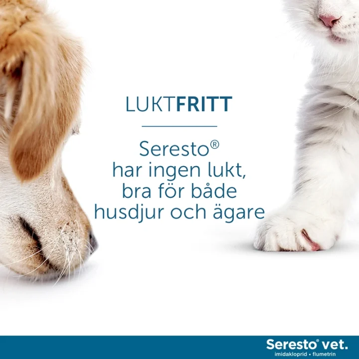 Seresto vet. halsband för katt och hund upp till 8 kg 1,25g+0,56g 1st Seresto