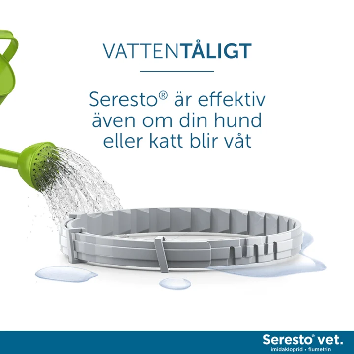 Seresto vet. halsband för katt och hund upp till 8 kg 1,25g+0,56g 1st Seresto