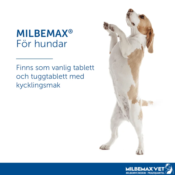 Milbemax vet. tuggtablett för hund (1-5 kg) 2,5 mg/25 mg 2 st Milbemax