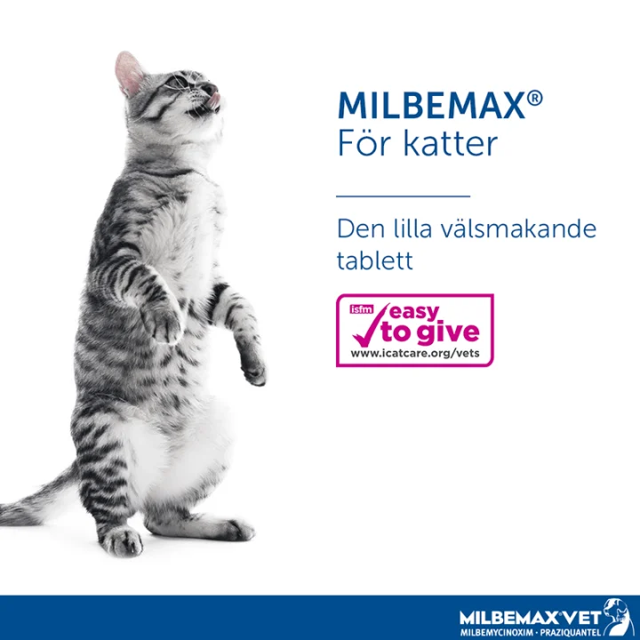 Milbemax vet. för katter tablett 2 st Milbemax