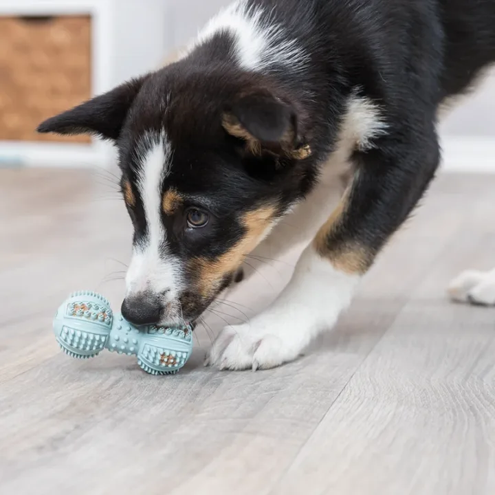 Trixie Junior Apport Naturgummi 9 cm Trixie