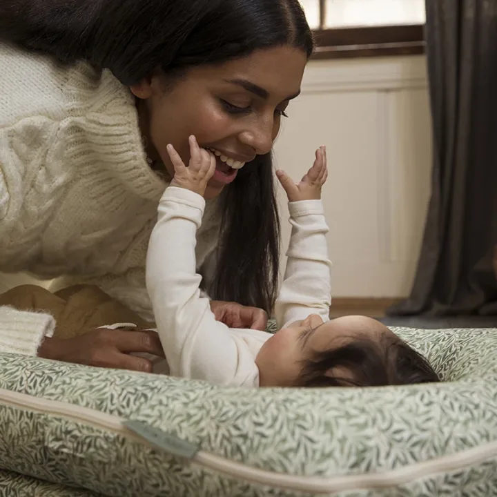 DockATot Deluxe+ Cover Willow Boughs DockATot