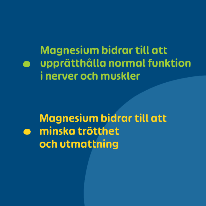 Pharbio Magnesium 250 mg 100 st Pharbio
