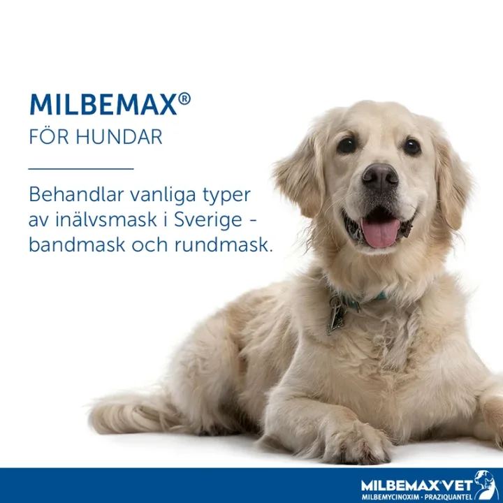 Milbemax vet. tuggtablett för hund (över 5 kg) 12,5 mg/125 mg 2 st Milbemax