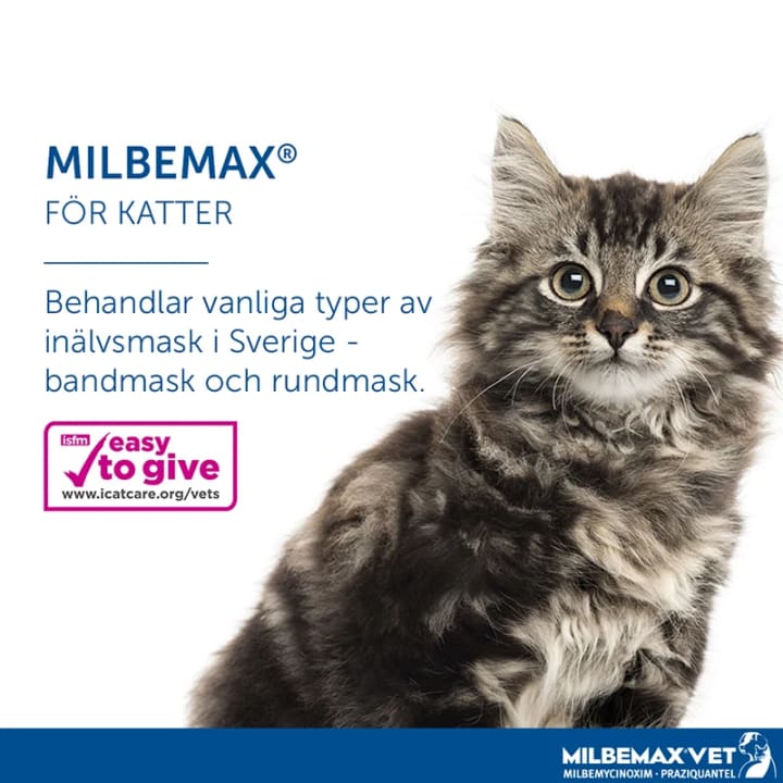 Milbemax vet. för små katter och kattungar tablett 2 st Milbemax