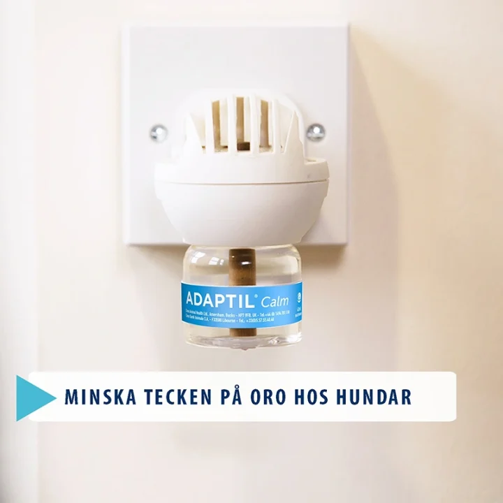 Adaptil Calm Refill för hund Adaptil
