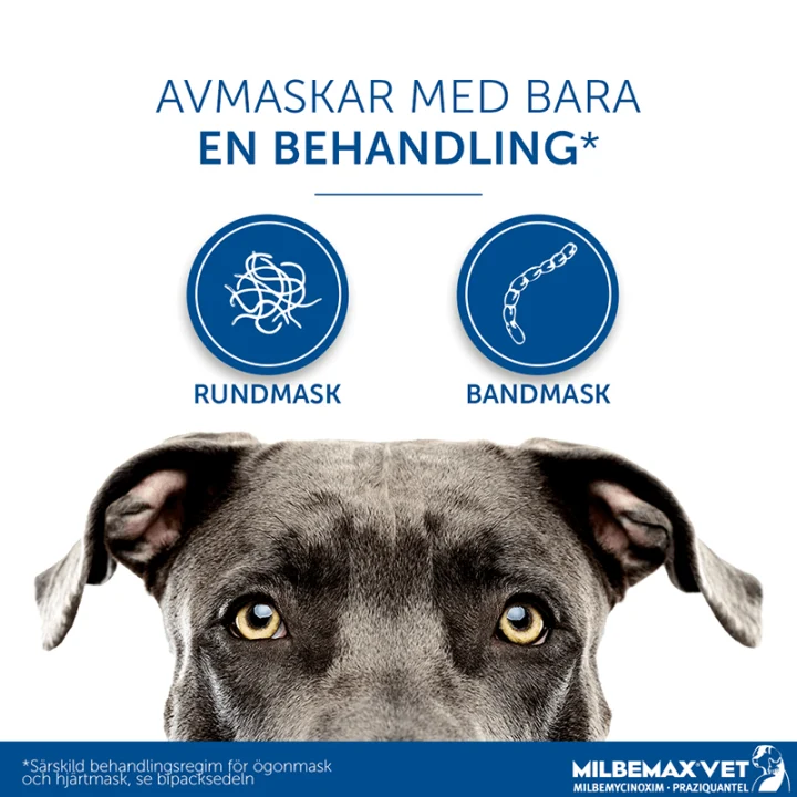 Milbemax vet. för hund tablett 2 st Milbemax