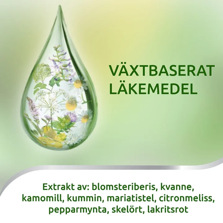 Iberogast orala droppar 100 ml Iberogast