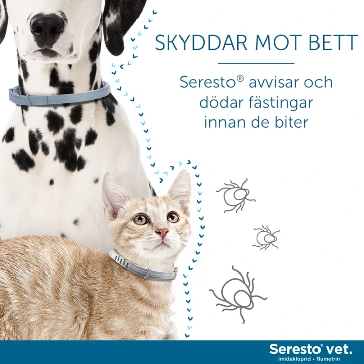Seresto vet. halsband för katt och hund upp till 8 kg 1,25g+0,56g 1st Seresto