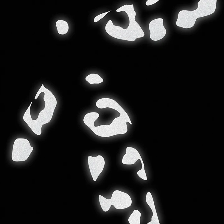 Bookman Reflective Stickers Leopard Print White Bookman