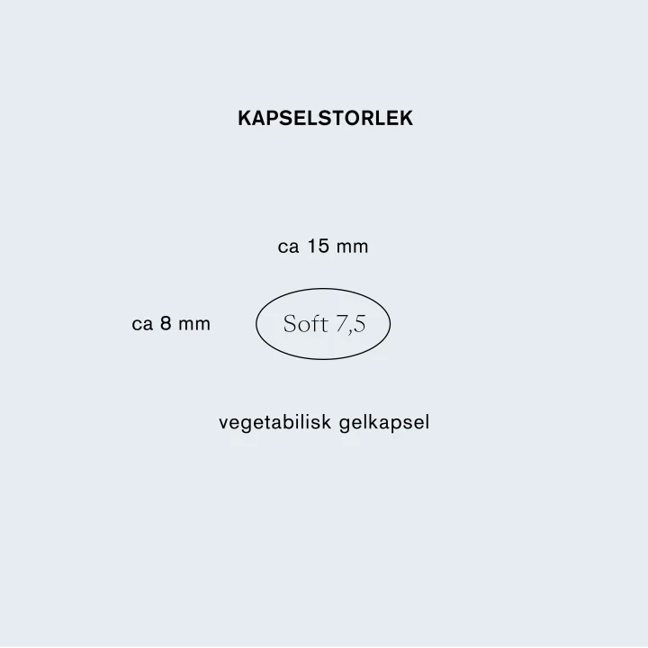 Holistic Q10 Coenzyme 60 mg 60 vegetabiliska kapslar Holistic