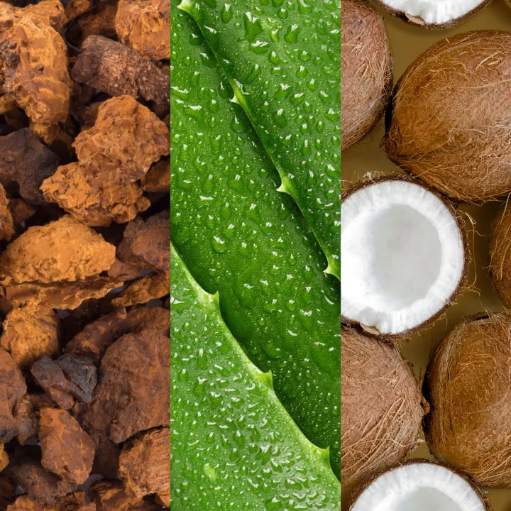 Mario Badescu Facial Spray With Aloe Adaptogens & Coconut Water 59 ml Mario Badescu