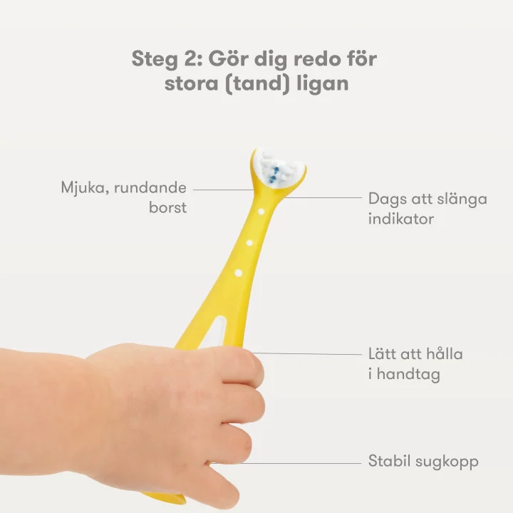 Frida Baby Väx-med-mig Tandborstträningsset FridaBaby