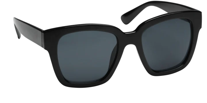 Haga Eyewear Marbella Shiny Black Grey lens Haga Optik