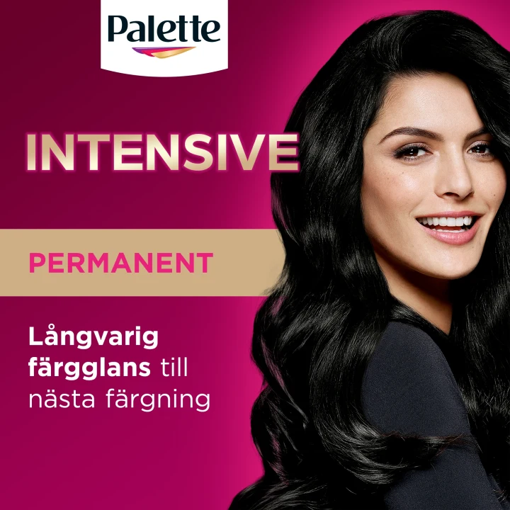 Palette Intensive Creme Coloration 1-0 Naturlig Svart Palette