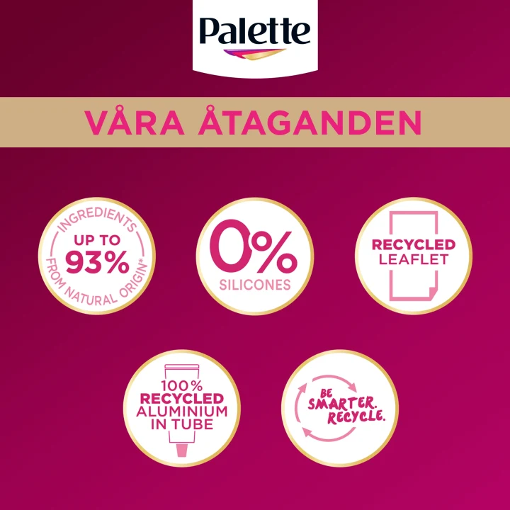 Palette Intensive Creme Coloration 1-0 Naturlig Svart Palette