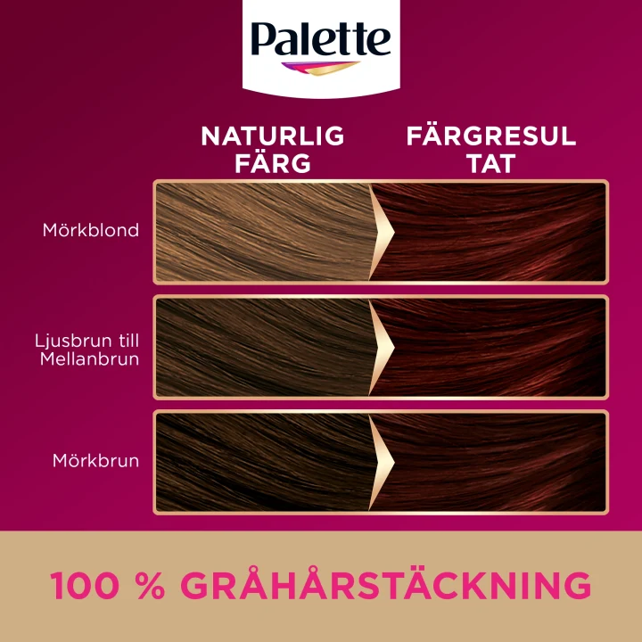 Palette Intensive Creme Coloration 4-6 Moccabrun Palette