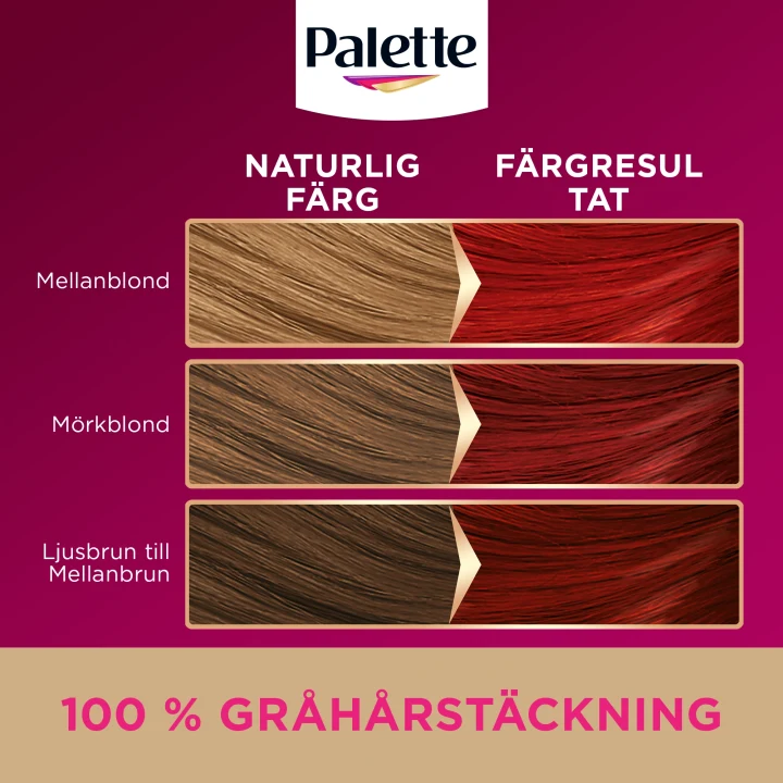 Palette Intensive Creme Coloration 6-88 Intensivröd Palette