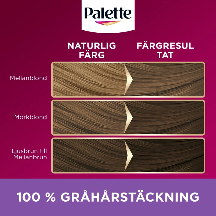 Palette Intensive Creme Coloration 7-36 Sval Ljusbrun Palette