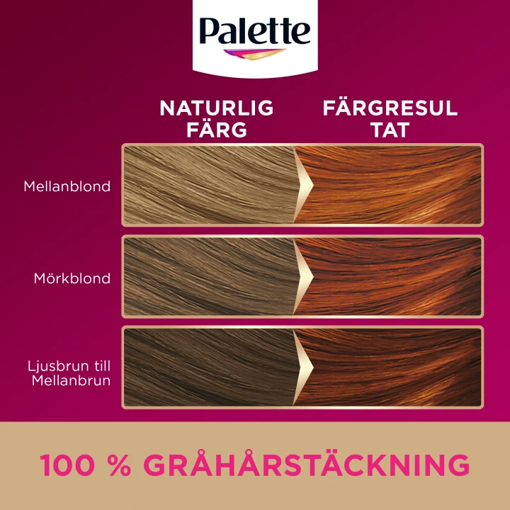Palette Intensive Creme Coloration 7-70 Terrakotta Mellanblond Palette