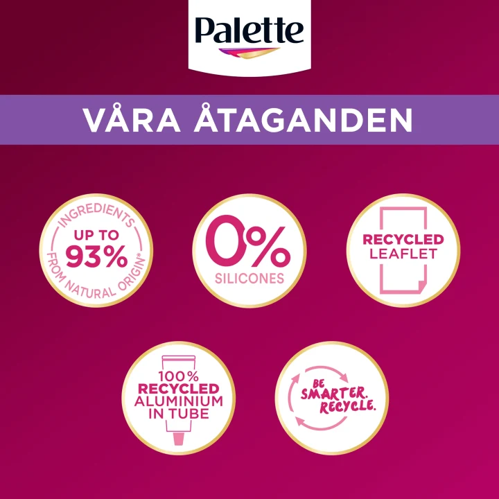 Palette Intensive Creme Coloration 8-1 Mättad Mellanblond Palette