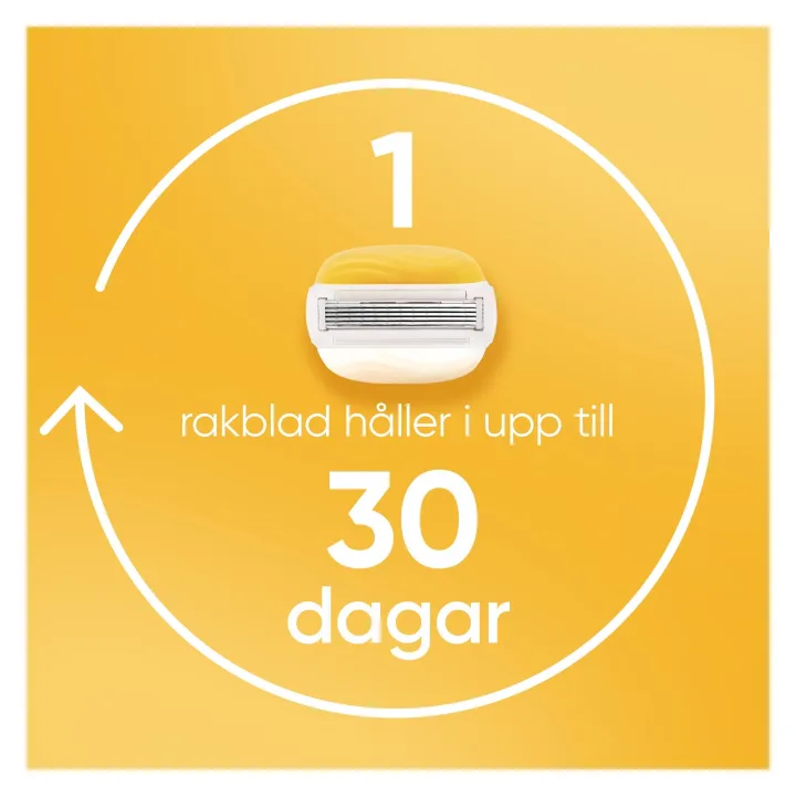 Venus Comfortglide Coconut w Olay H+3 Venus