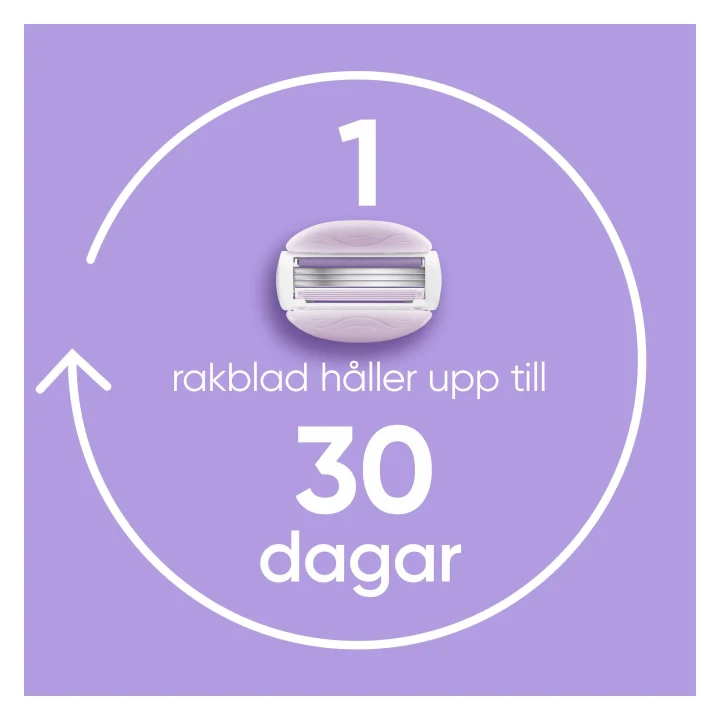 Venus Comfortglide Breeze H+4 Venus