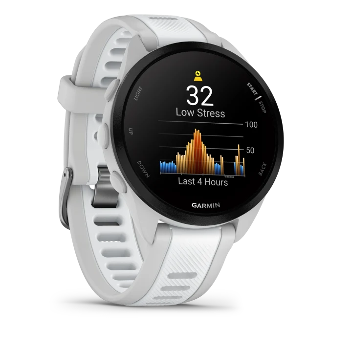 Garmin Forerunner 165 Music GPS, WiFi, Mist Grey/Whitestone Garmin