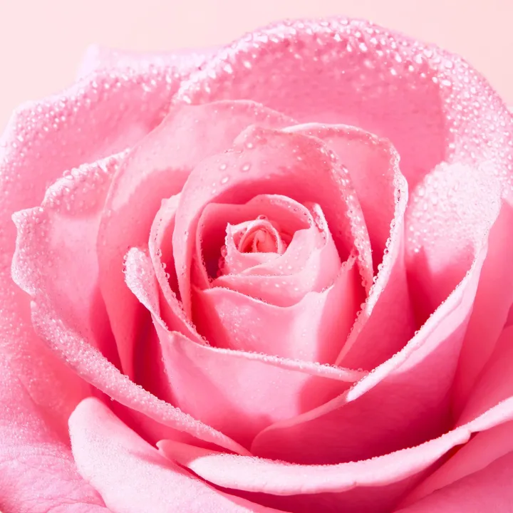 NUXE Very Rose Delicate Cleansing Oil 150 ml Nuxe