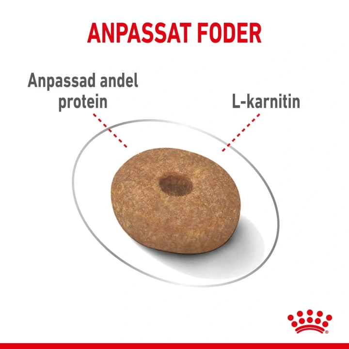 Royal Canin Light Weight Care Mini Dog 8 kg Royal Canin