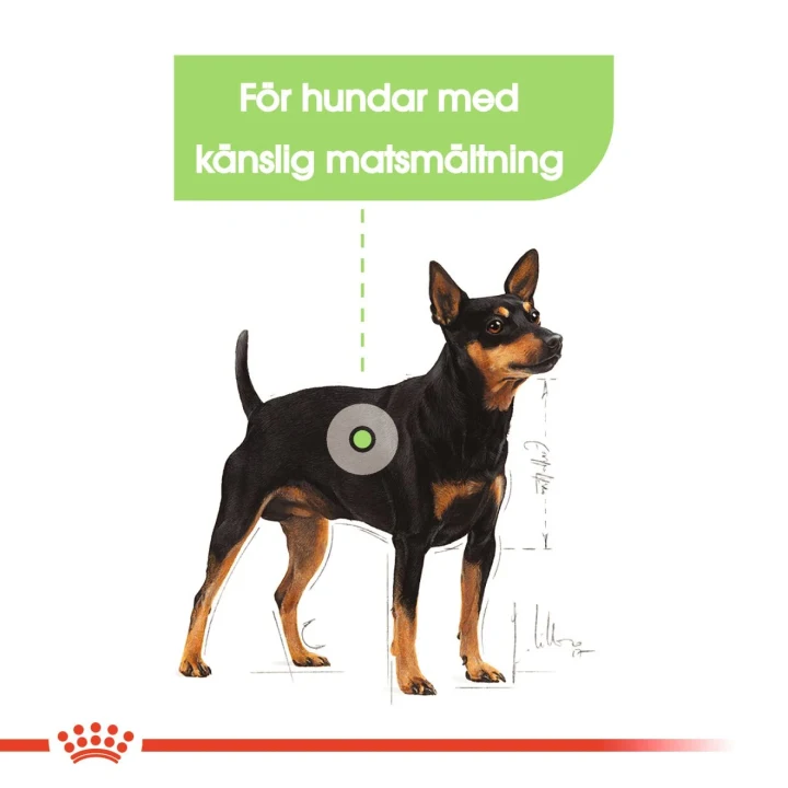 Royal Canin Digestive Care Mini Dog  8 kg Royal Canin