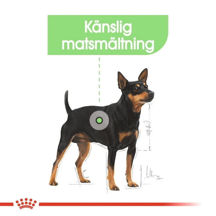 Royal Canin Digestive Care Loaf Dog 12x85 g Royal Canin