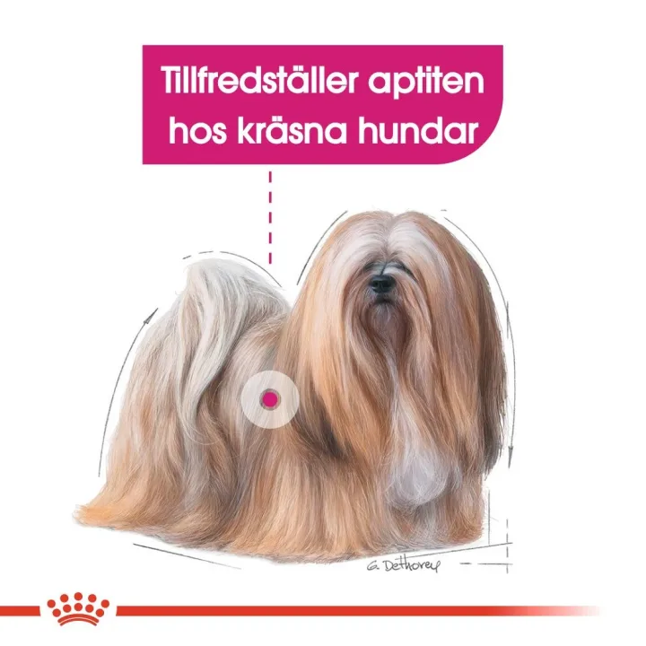 Royal Canin Exigent Mini Dog 3 kg Royal Canin